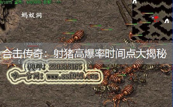 合击传奇:射猪高爆率时间点大揭秘 合击传奇:射猪高爆率时间点大揭秘