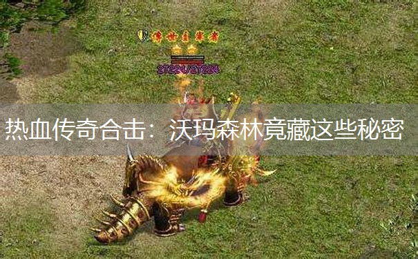 热血传奇合击：沃玛森林竟藏这些秘密